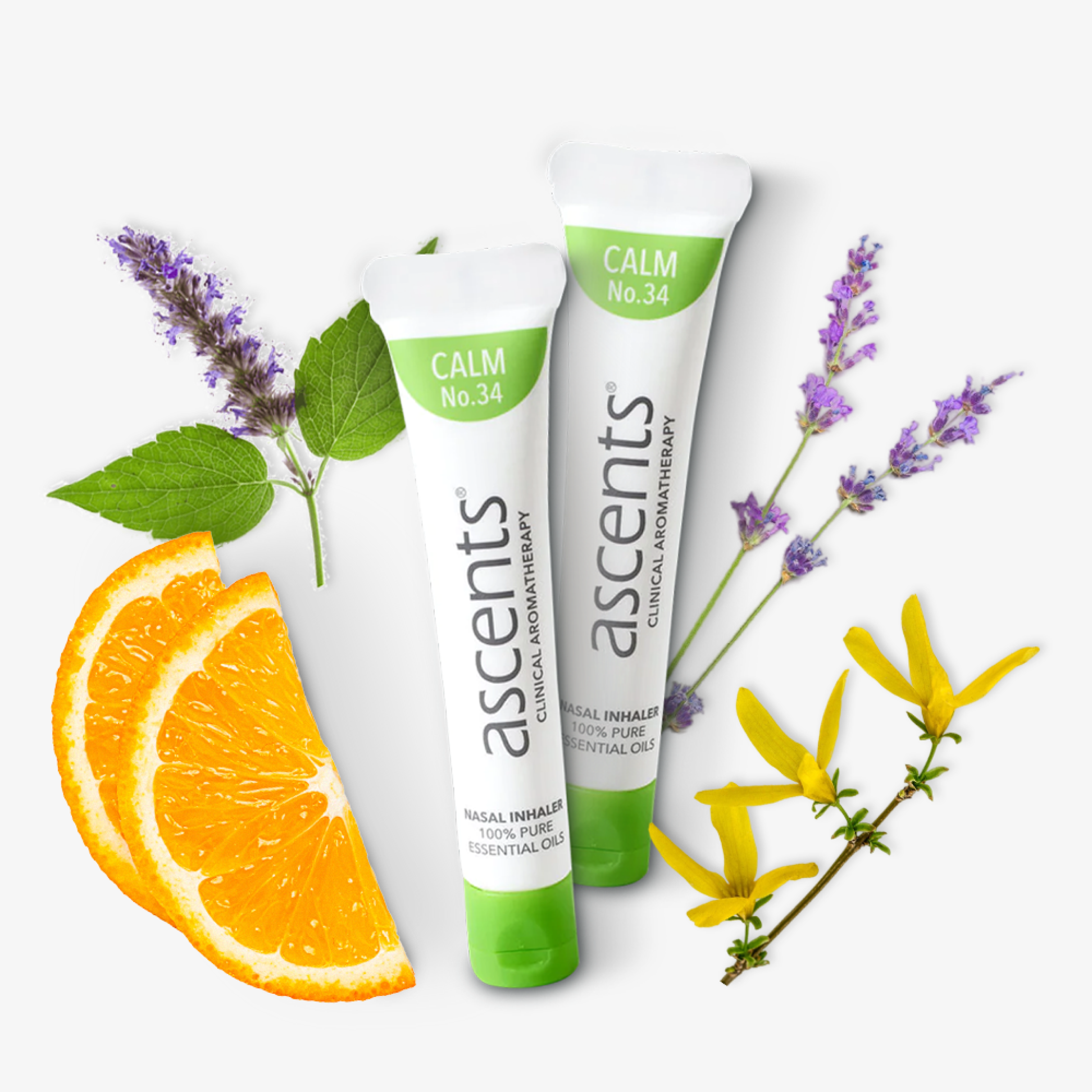 Calm 1.png__PID:5088c21f-9041-43ac-b28b-47a3fc7ec9dd